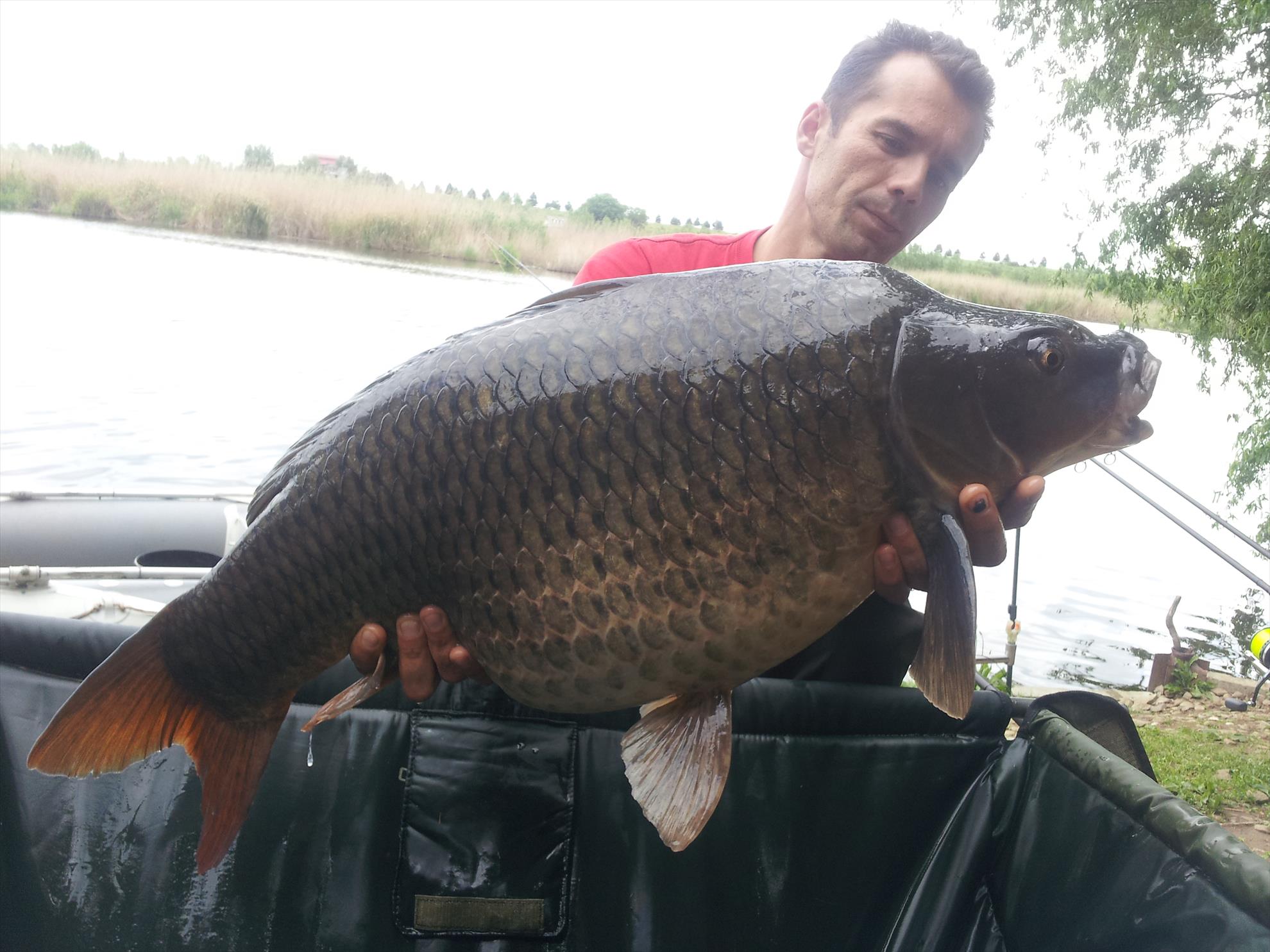 Tancabesti 1 - 4 iunie 2014 - 20150506153251.jpg